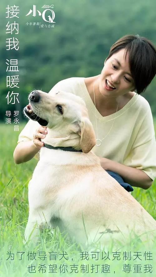 怎么买英国护照电子版
